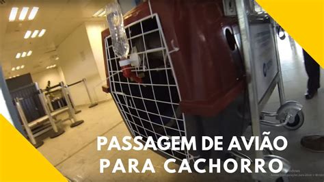 comprar passagem para cachorro gol